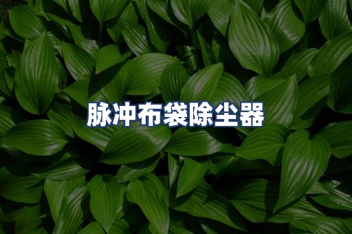 脉冲布袋除尘器