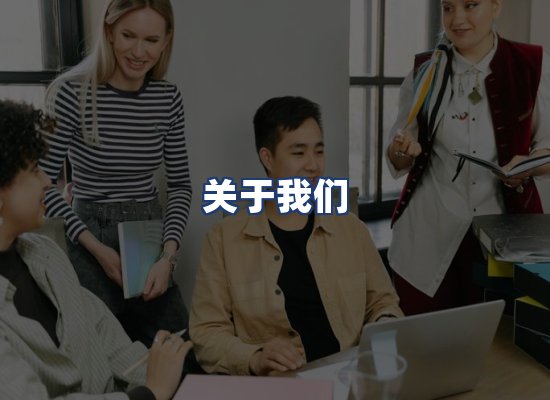 关于我们